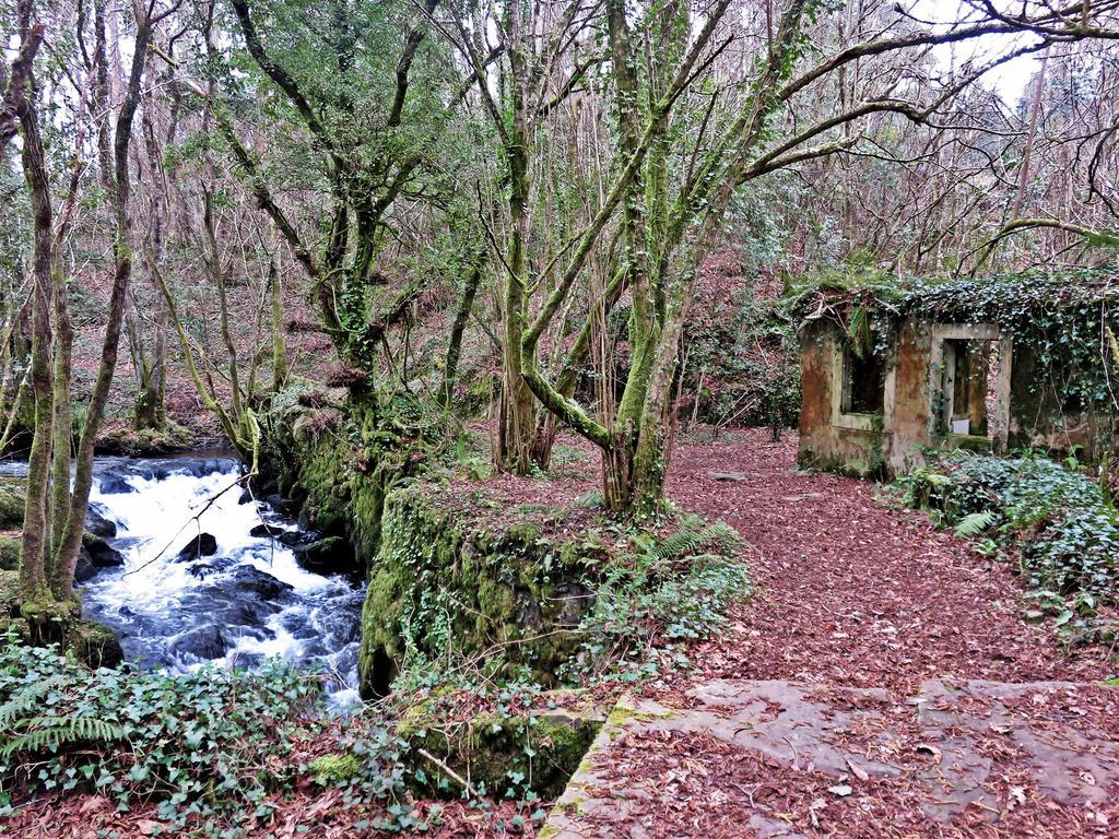 Casa Rural A Pasada Cedeira Zewnętrze zdjęcie